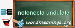 WordMeaning blackboard for notonecta undulata